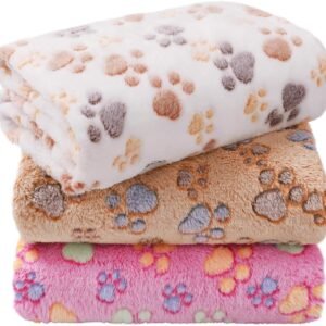 Fuzzy Little Blanket to keep the Little one Warm.