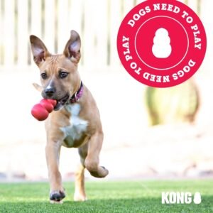 For Aggressive Chewers, The  Extreme Dog Toy.